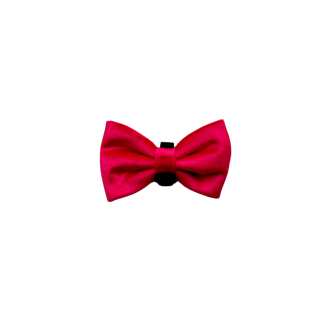 Poppy Red Velvet Dog Bow Tie