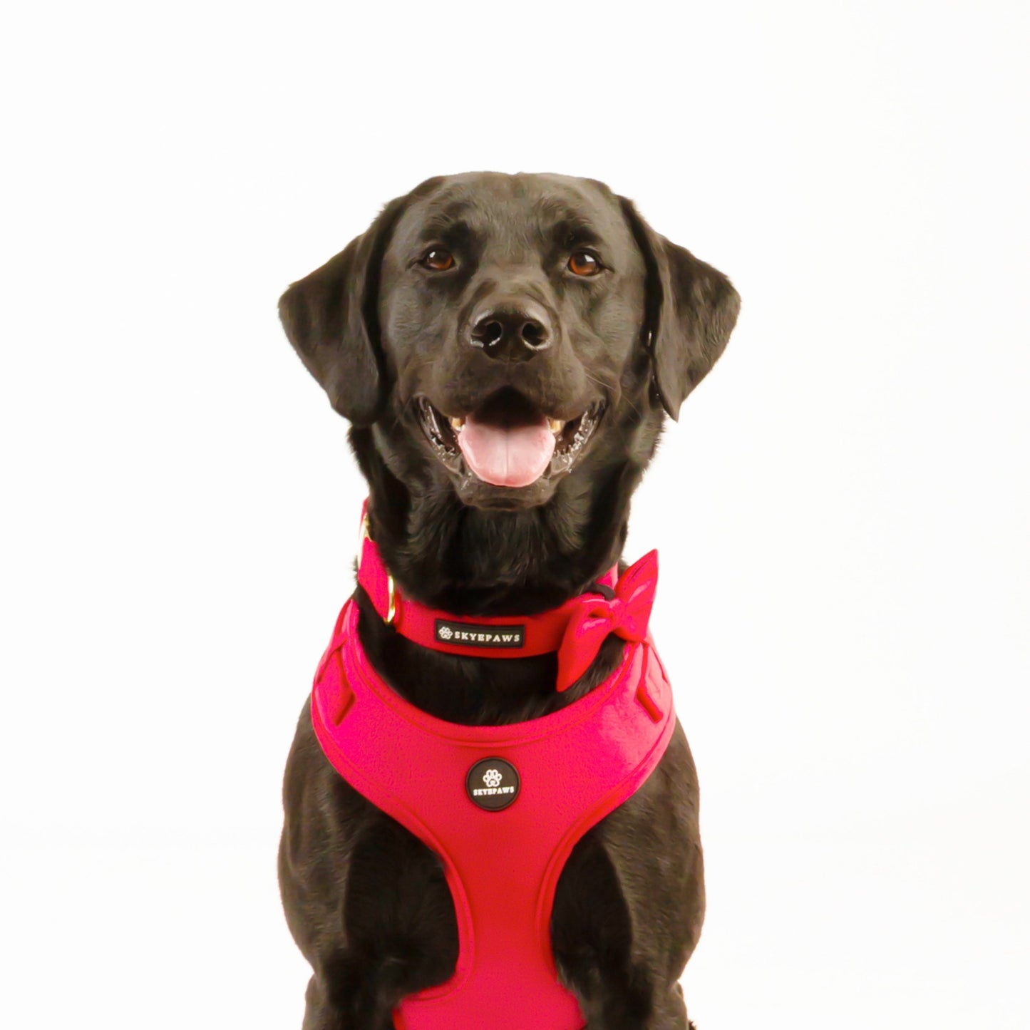 Poppy Red Velvet Dog Bow Tie